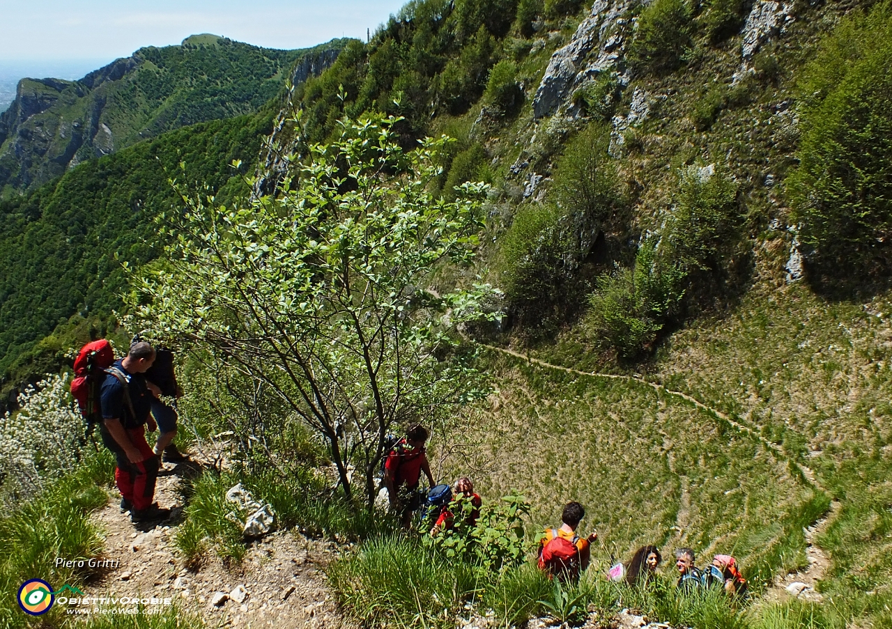 62 sentierino lungo ripidi pendiii erbosi....JPG